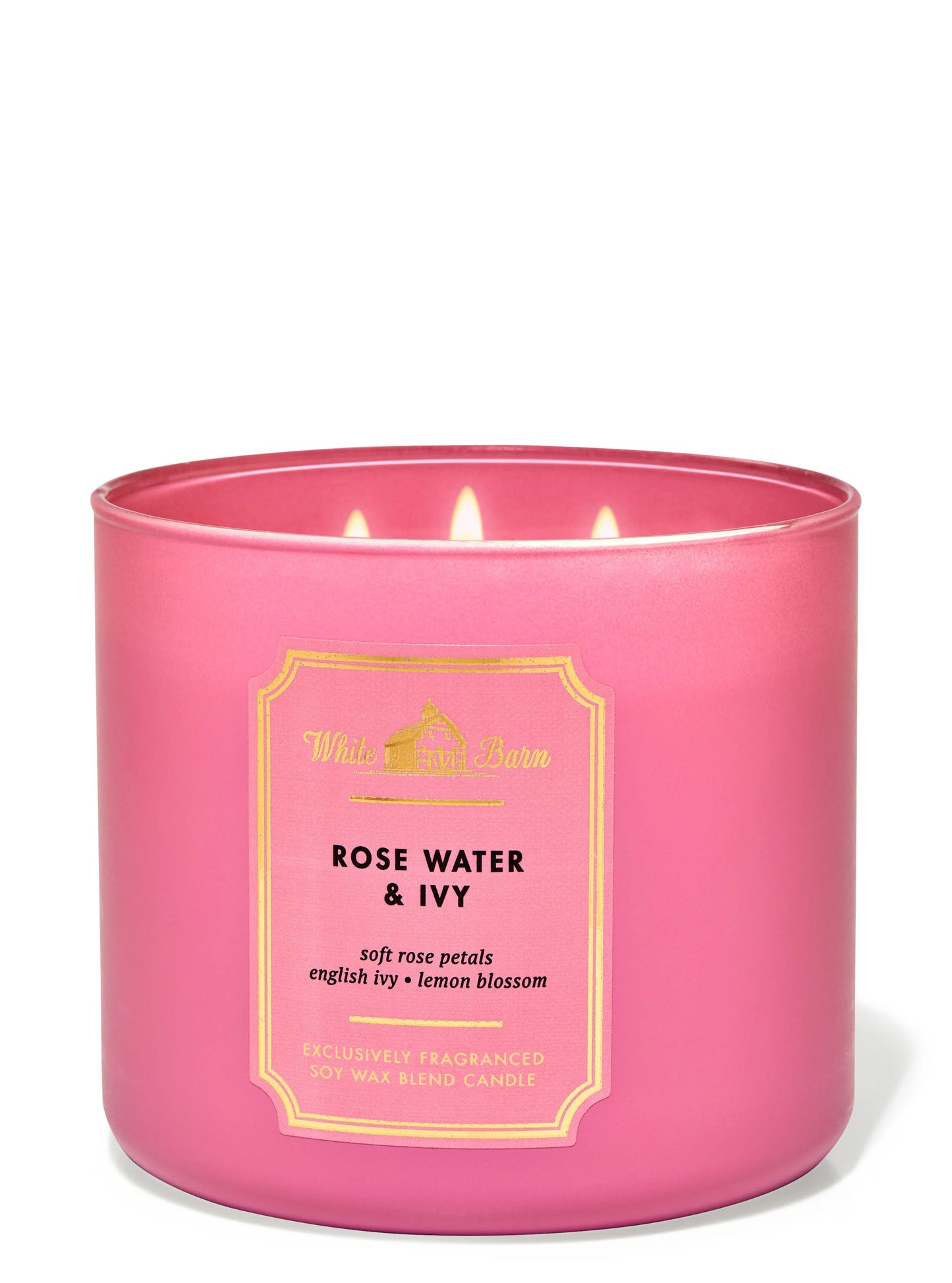 Rose Water & Ivy 3 Wick Candle | Vela aromática de 3 mechas - 411 g