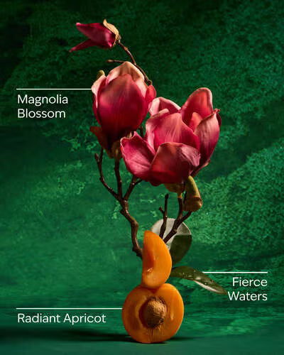 Snow White PocketBac Gel | Santinizante antibacterial para manos