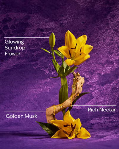 Rapunzel PocketBac Gel | Santinizante antibacterial para manos