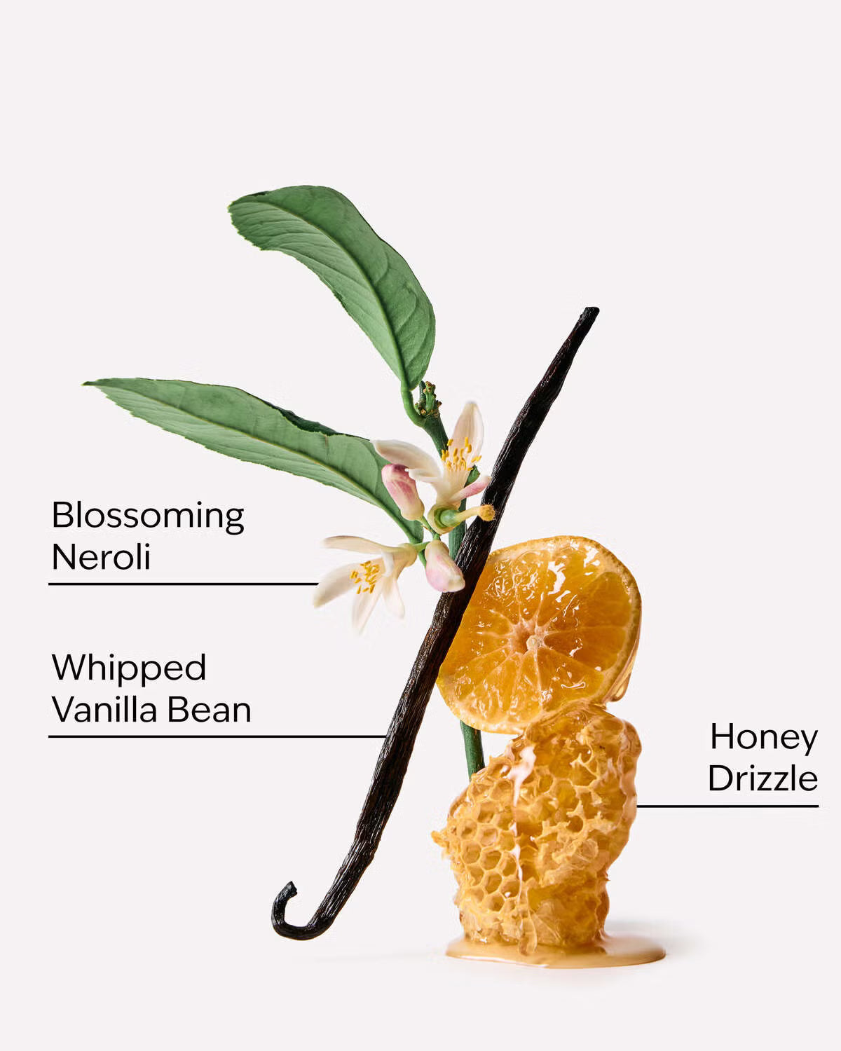 Whipped Honey & Vanilla | PocketSpray Hand Sanitizer | Desinfectante de manos