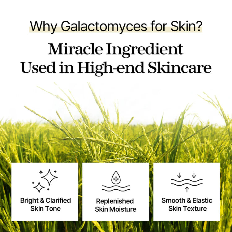 Galactomyces Toner Pads | Tónico