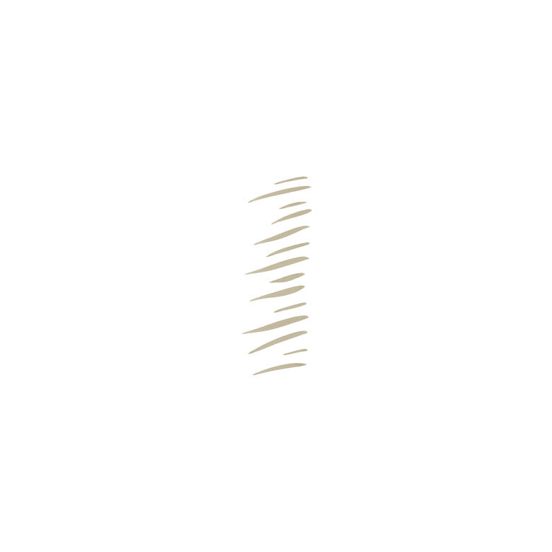 Holy Strokes Micro-Fine Brow Pen | Plumin para cejas