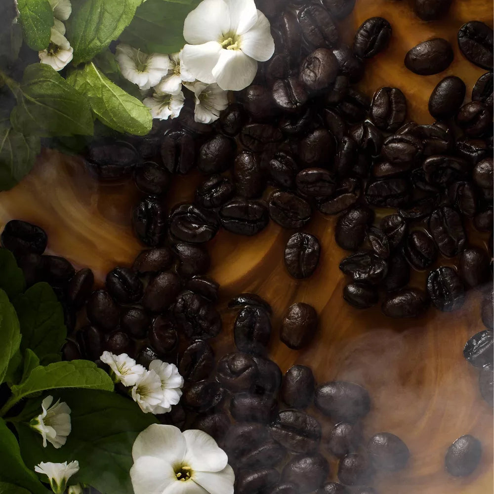 Midnight Cafe Body Mist Fragrance Spray | Fragancia Corporal