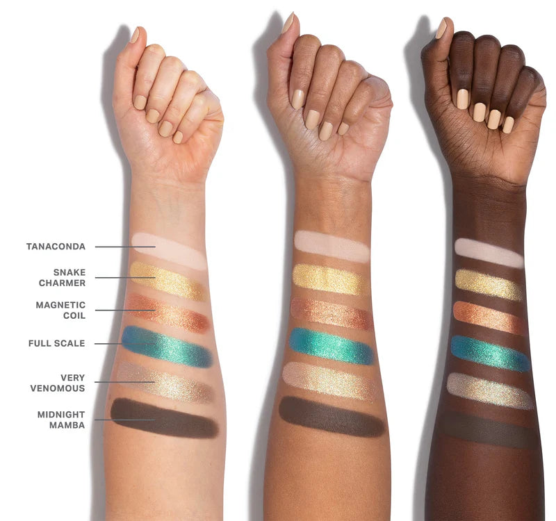 PHYTON CODE | ChromaPlus 6-Pan Eyeshadow Palette | Paleta de sombras