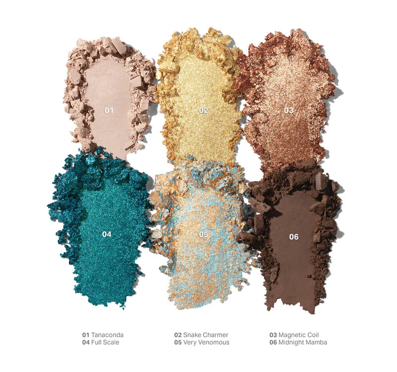 PHYTON CODE | ChromaPlus 6-Pan Eyeshadow Palette | Paleta de sombras