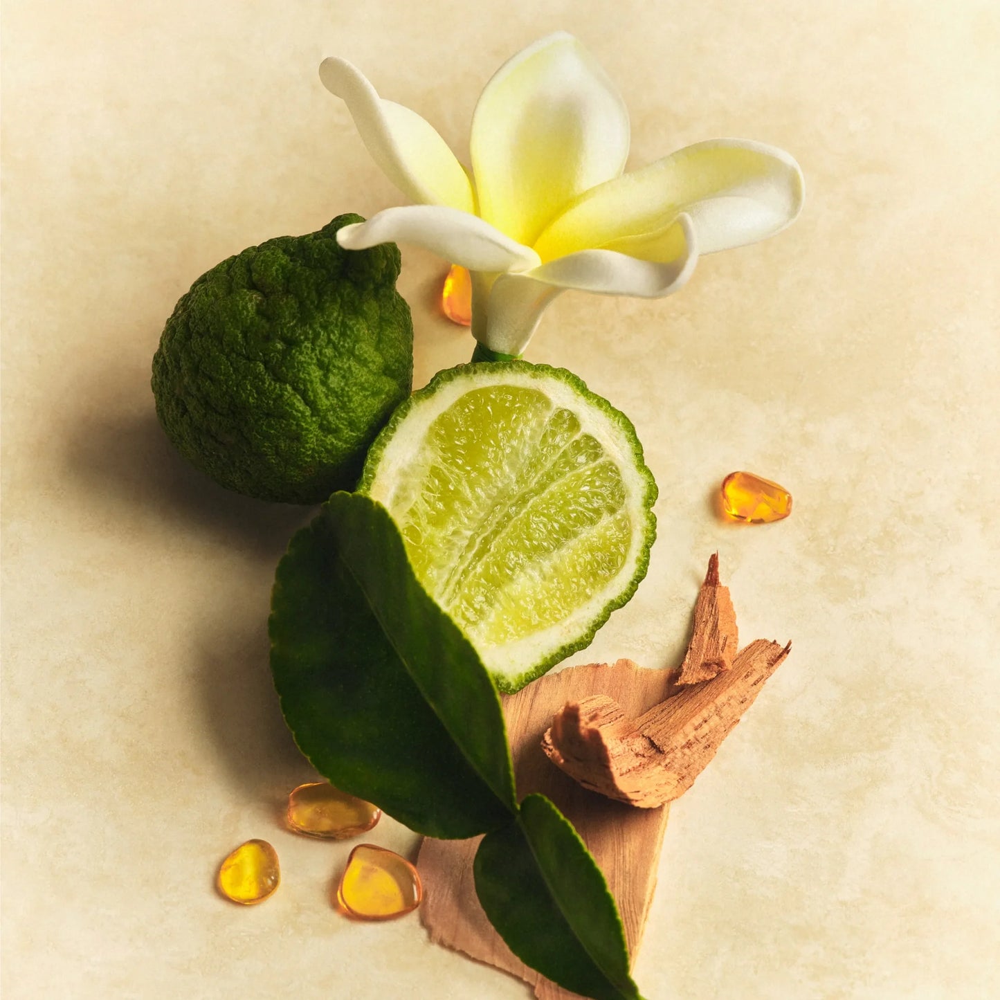 Mini Hair & Body Mist | Solar Muse | Bruma para cabello y cuerpo