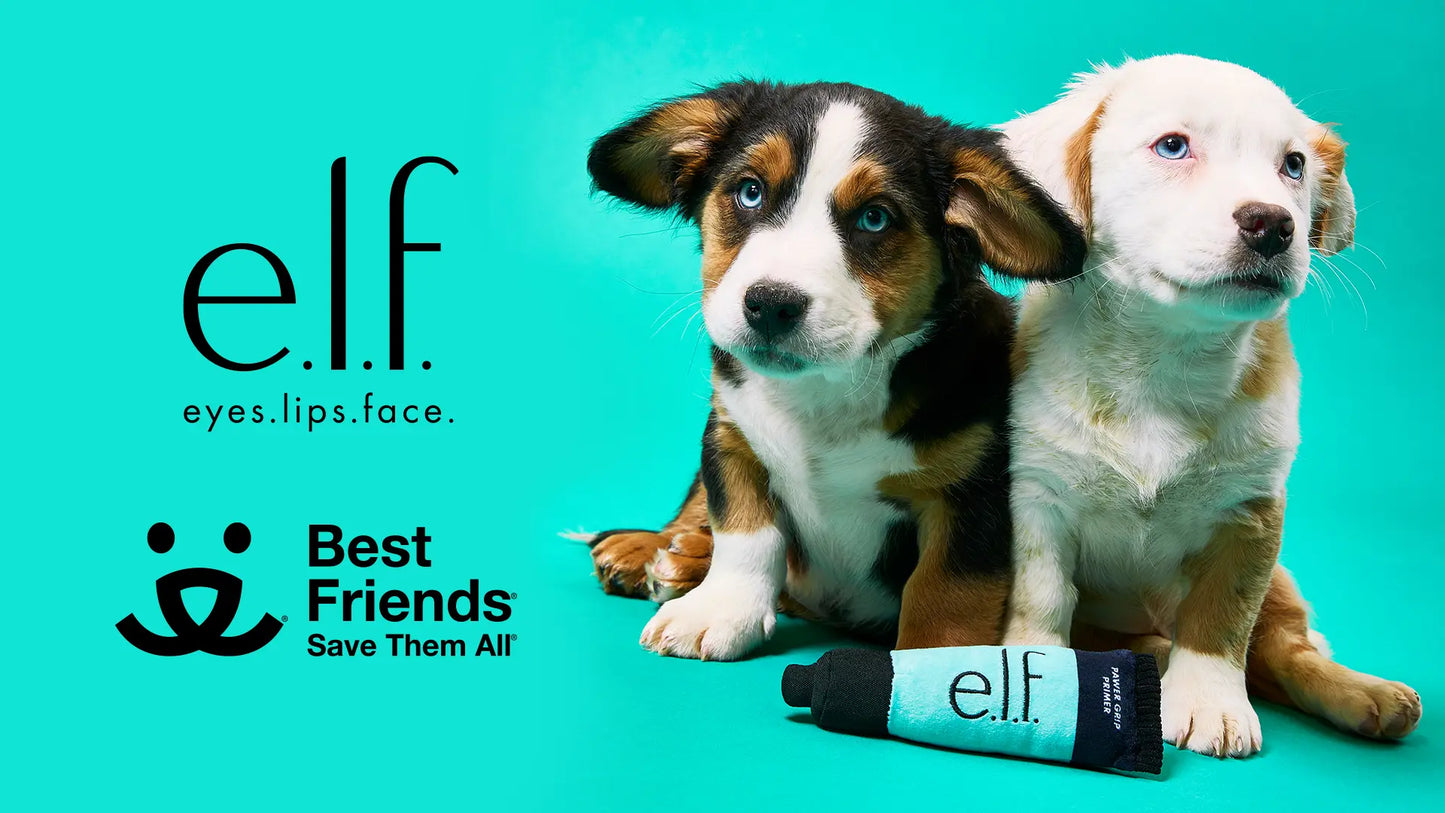 Pawer Grip Primer | Juguete para mascotas