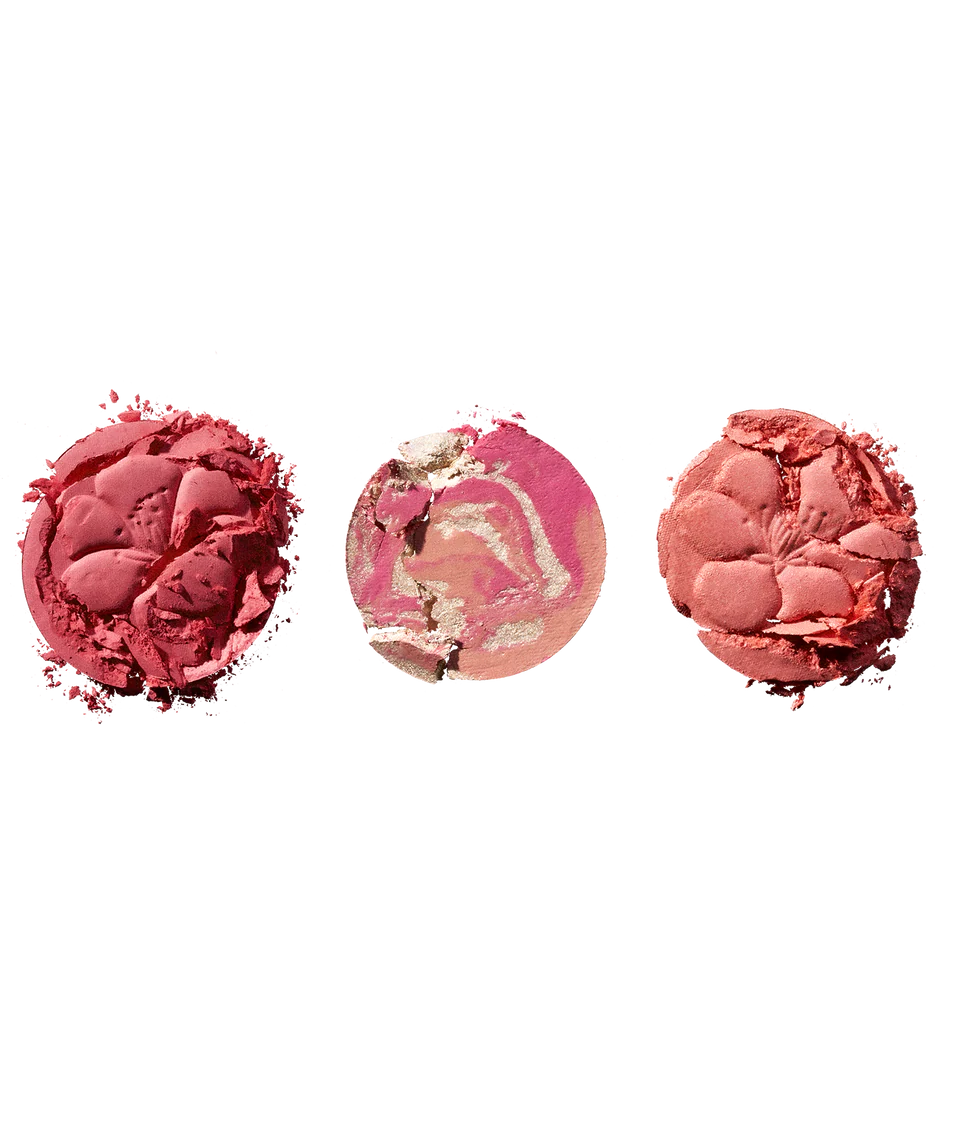 WICKED Blossom Blush Palette – Coral | Paleta de Rubores
