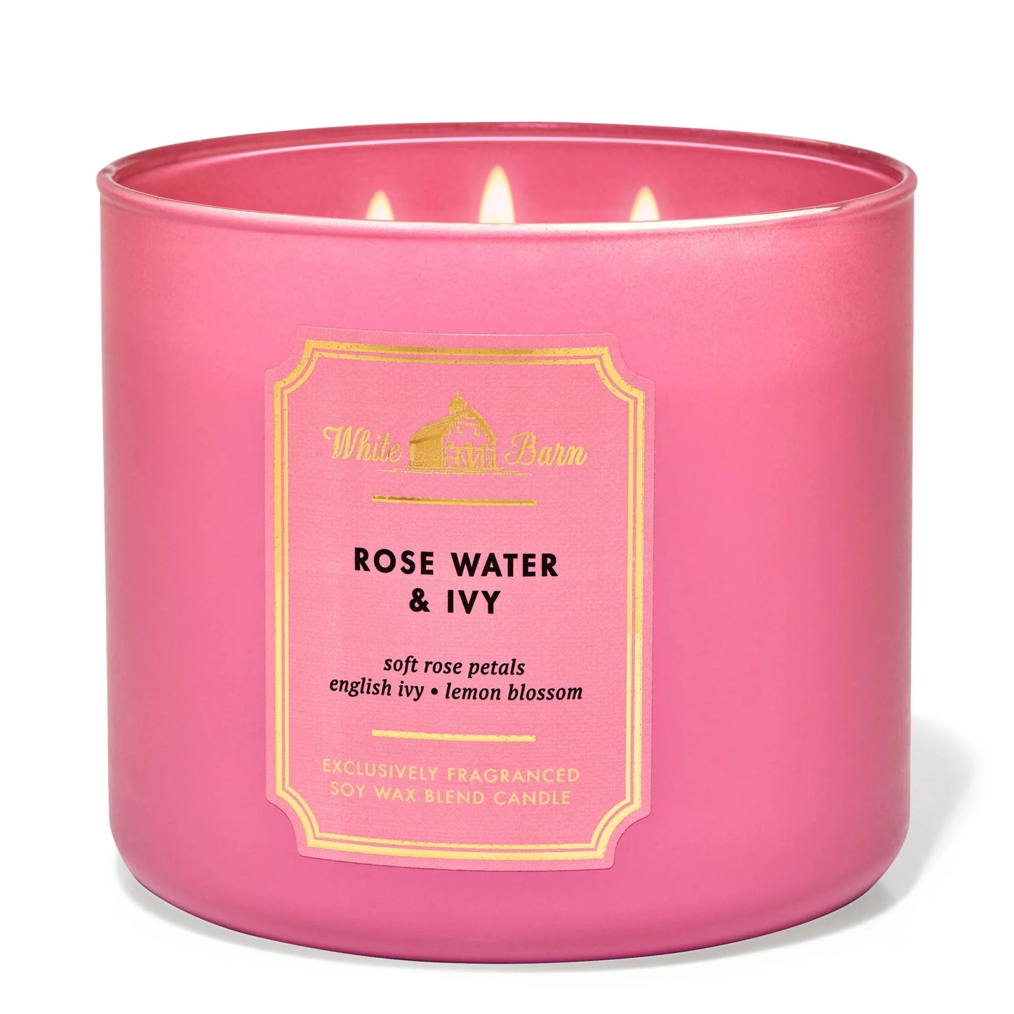 Rose Water & Ivy 3 Wick Candle | Vela aromática de 3 mechas - 411 gr