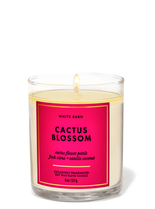 Cactus Blossom 1 wick Candle | Vela aromática de 1 mecha | 227 gr