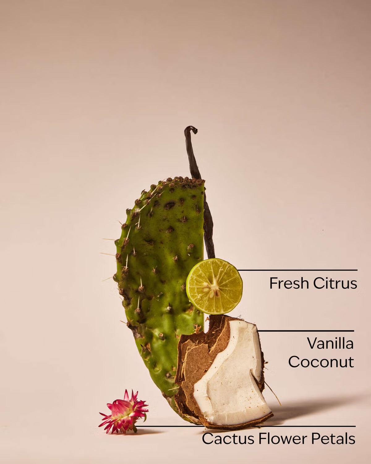 Cactus Blossom | Car Fragrance Refill | Aromatizante para Auto