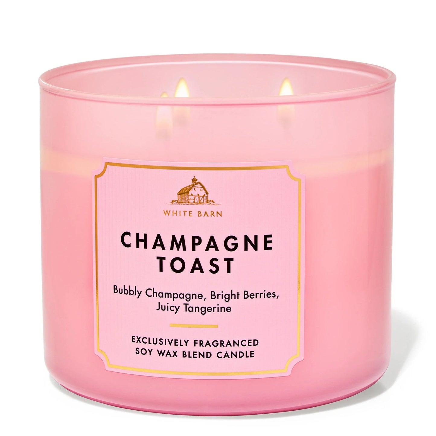 Champagne Toast Candle | Vela 3 mechas | 411gr
