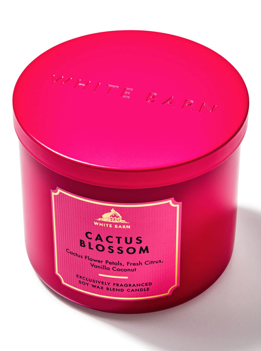 Cactus Blossom Candle | Vela 3 mechas | 411gr