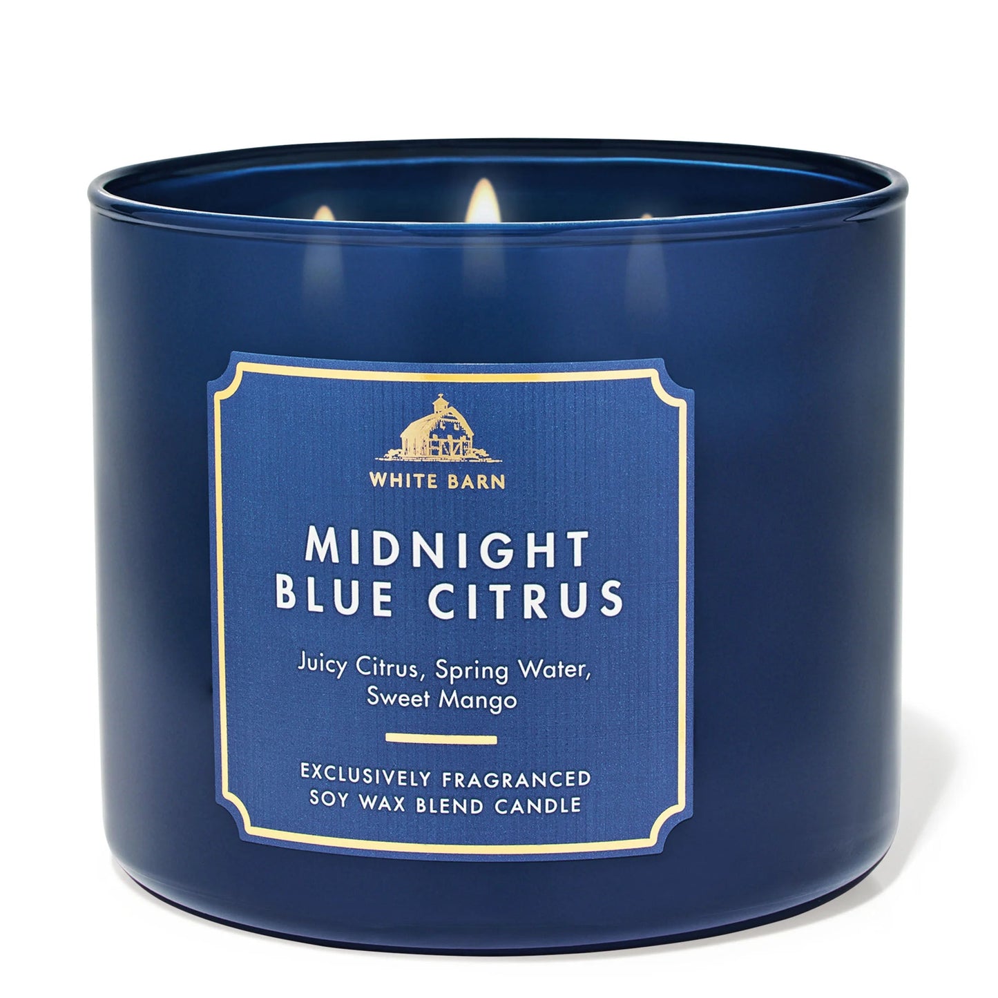 Midnight Blue Citrus 3 Wick Candle | Vela aromática de 3 mechas - 411 gr