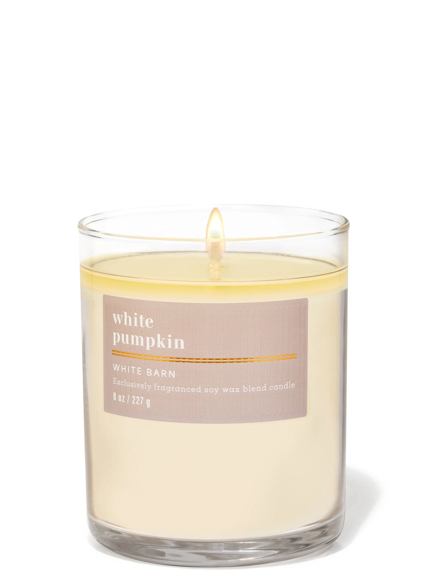 White Pumpkin  1 Wick Candle | Vela aromática de 1 mecha - 227 gr