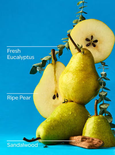 Falling Flurries 3 wick Candle | Vela aromática de 3 mechas| 411 gr