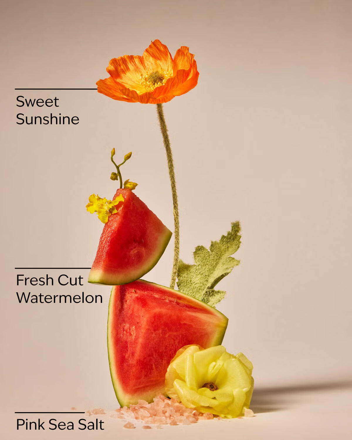 Fresh Watermelon | Car Fragrance Refill | Aromatizante para Auto
