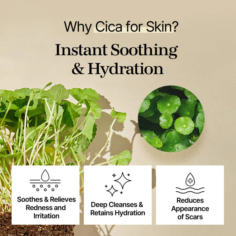 Centella Toner Pads | Tónico