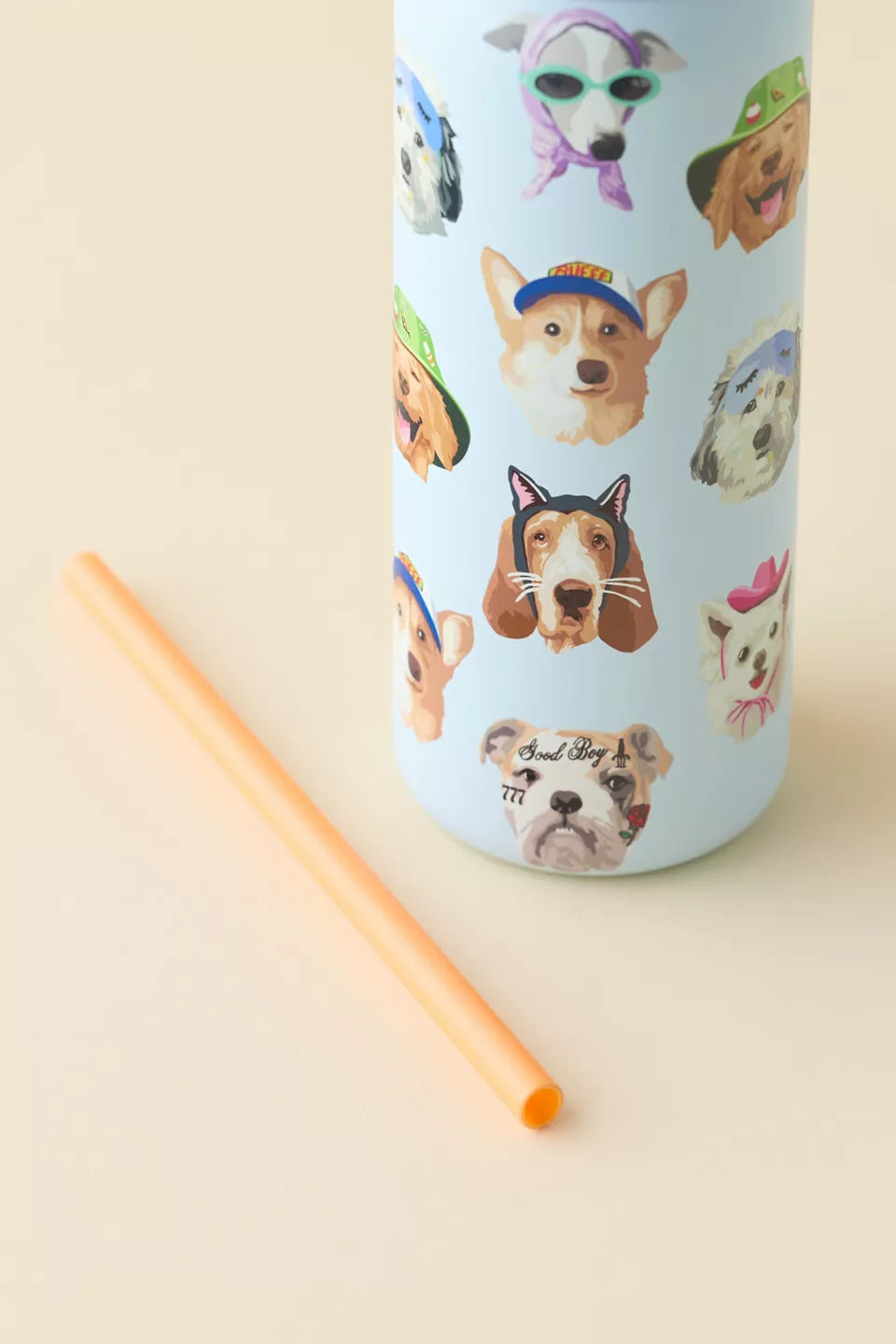UO Exclusive Dog Collage | FreeSip 32 oz |  Termo
