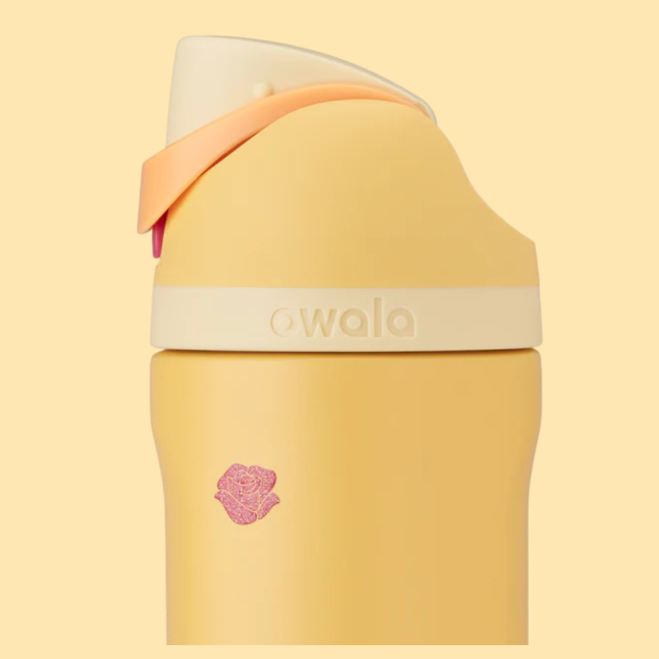Belle | Freesip Water Bottle Disney Princess Collection 24 oz | EDICIÓN LIMITADA