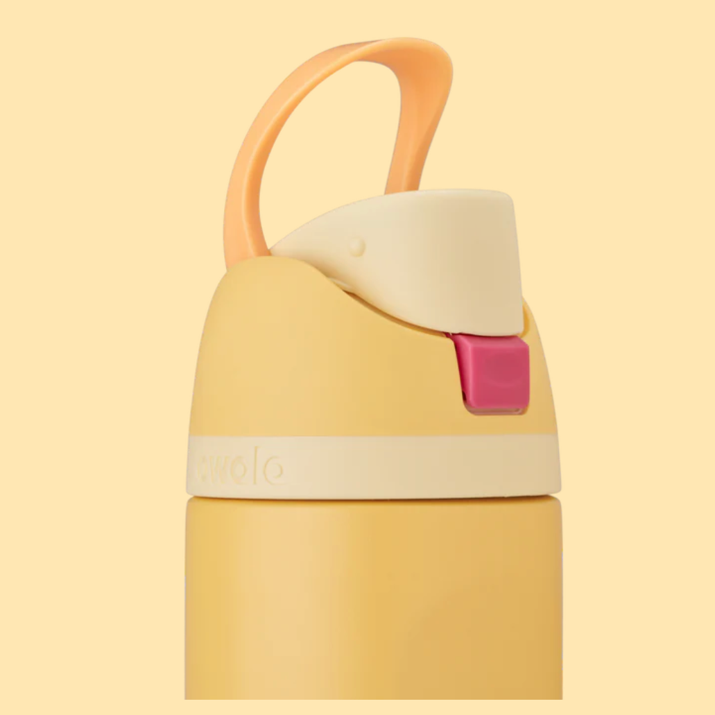 Belle | Freesip Water Bottle Disney Princess Collection 24 oz | EDICIÓN LIMITADA