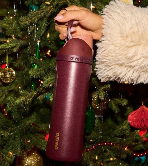 CINNAMON Merry and Bright|  24 oz | FreeSip Water Bottle | Termo