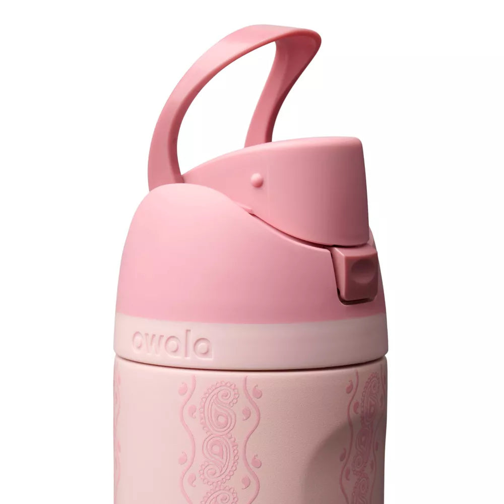 Painted Canyon | EDICION LIMITADA WILD WEST | Freesip Water Bottle | Termo 24 oz