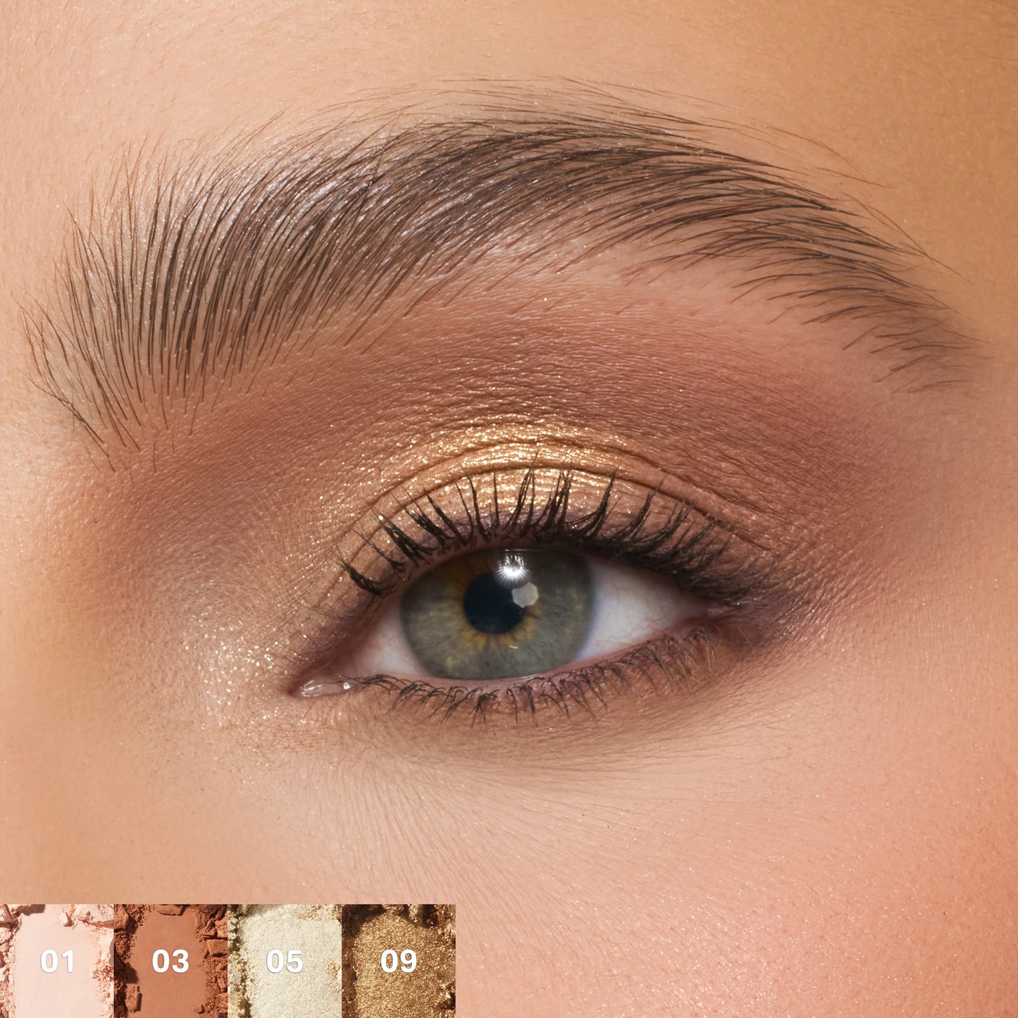 ChromaPlus 12-Pan Eyeshadow Palette | Paleta de sombras