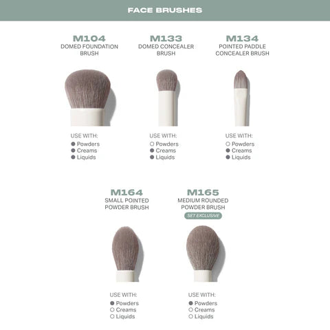 Ready, Set, Pro | Juego de 16 pinceles para rostro y ojos