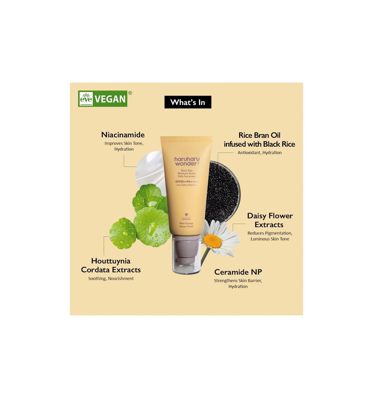 Black Rice Moisture AiryFit Daily Sunscreen SPF50+ PA++++ | Crema humectante con protector
