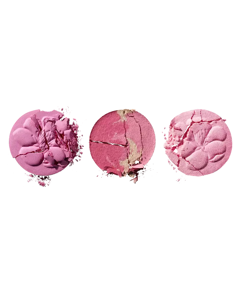 WICKED Blossom Blush Palette – Pink | Paleta de Rubores